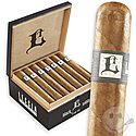 Sam Leccia Black