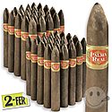 Palma Real Maduro