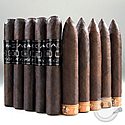 #6: CAO MX2 and Diesel                                      