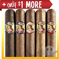 La Perla Habana Robusto Collection Only $1 More
