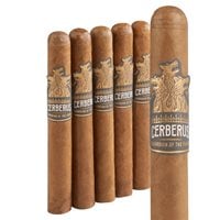 Guardian of the Farm Cerberus Lonsdale (6.0"x44) Pack of 5