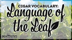 Cigar Vocabulary