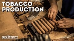 From Tobacco to Cigar: The Odyssey of Creating a Premium Cigar