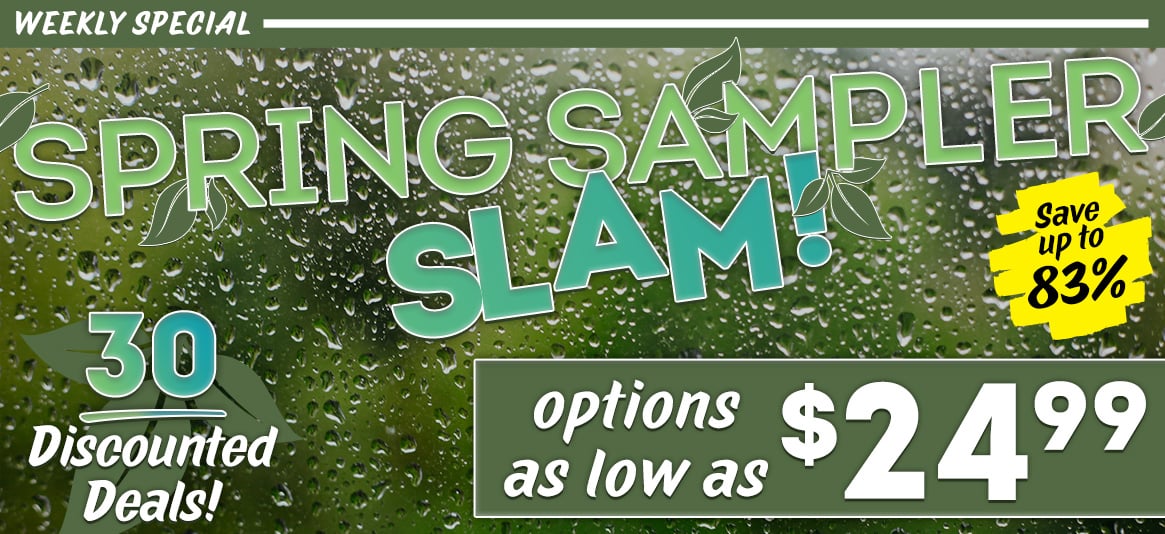 The Spring Sampler Slam is here!