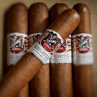 Gurkha Regatta Cigars